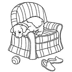 Pup on a sofa coloring page