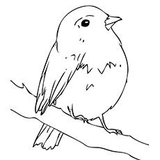 Simple coloring page for kids 4-8 age white and black, bird on a