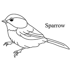 Simple coloring page for kids 4-8 age white and black, bird on a