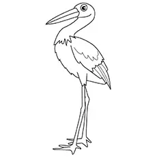The Stork Bird Coloring Pages