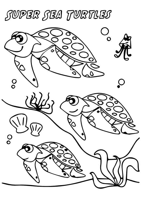 The-Super-Sea-Turtles