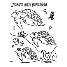 The-Super-Sea-Turtles