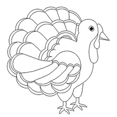 The Turkey Bird Coloring Pages