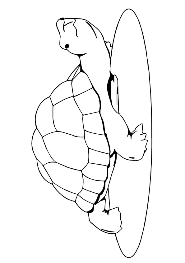 The-Turtle-Lazy-colouring