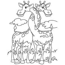 Two Giraffes Entwined coloring page