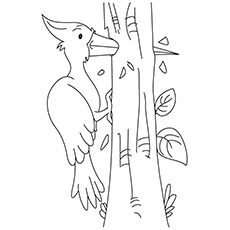 The Woodpecker Bird Coloring Pages