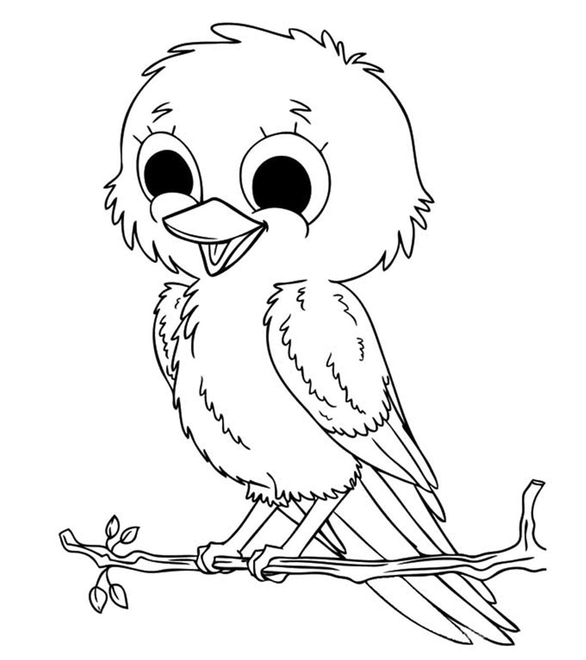 coloring pages of birds nests