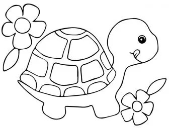 Top 20 Turtle Coloring Pages Your Toddler Will Love To Color