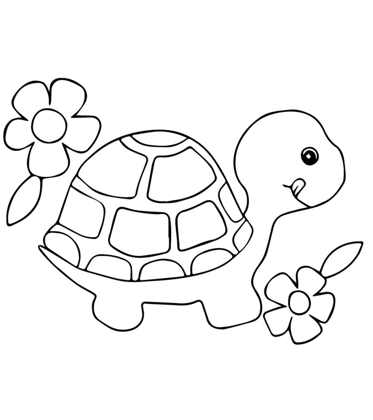 Turtle Coloring Pages For Kids Coloring Export 115 Role