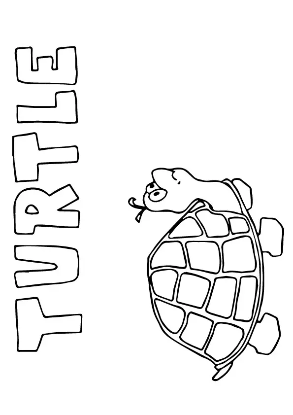 Turtle-Capital-T