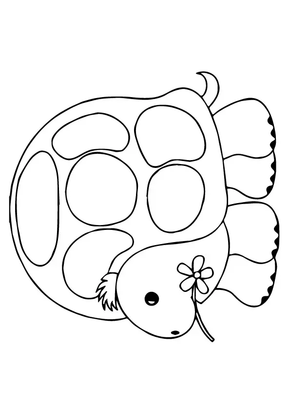 Turtle-Decorated-Turtle-Shell