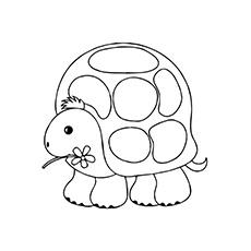 cartoon turtle coloring pages for kids