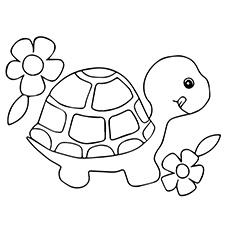 Top 20 Free Printable Turtle Coloring Pages Online