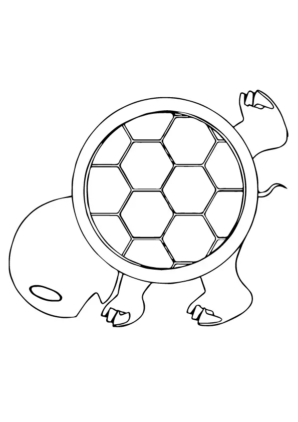 Turtle-Shell-colouring