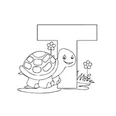 Turtle-With-A-T-Flower