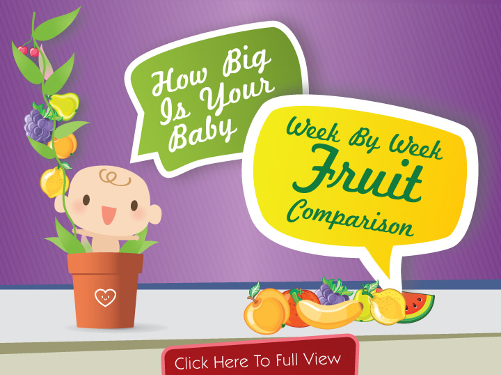 How Big Is Your Baby Week By Week Fruit Comparison