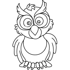 An angry owl, Owl coloring pages_image