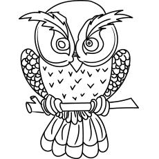 A cute owl, Owl coloring pages