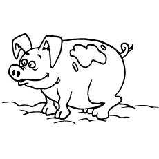 Simple Pig Coloring Pages