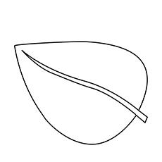 flower leaves coloring pages