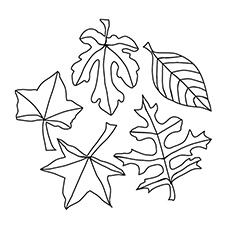 autumn leaves coloring page