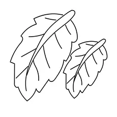 Banana leaf coloring pages