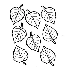 Birch leaves coloring pages