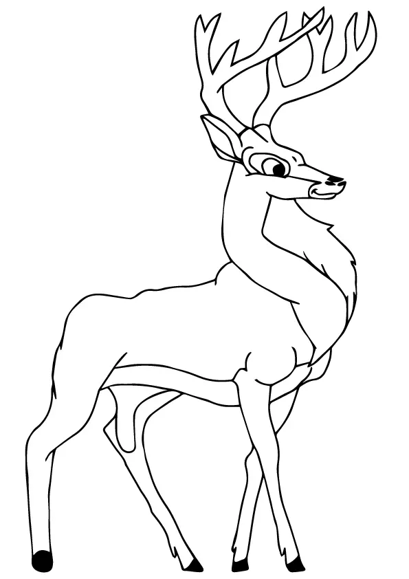 Black-Buck