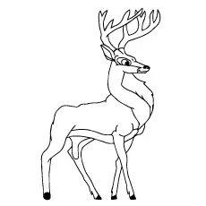 Blackbuck Deer Coloring Page_image