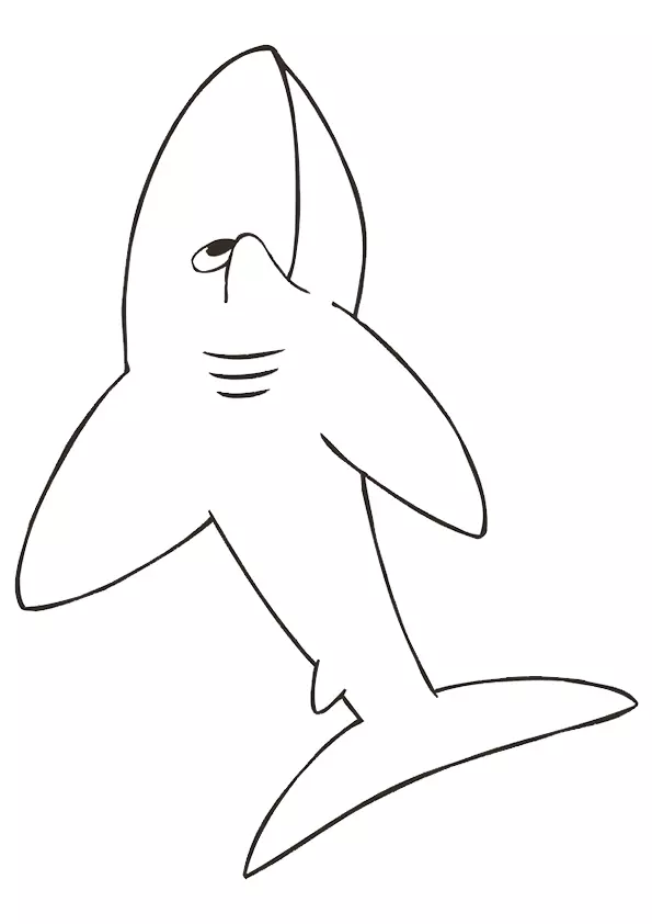 Cartoon-Shark