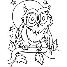 Collared-scops, Owl coloring pages