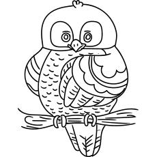 Owl sitting on a branch, Owl coloring pages