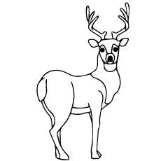 Cute deer coloring page