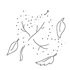 Dot to dot leaf coloring pages