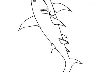 Top 20 Shark Coloring Pages For Your Little Ones