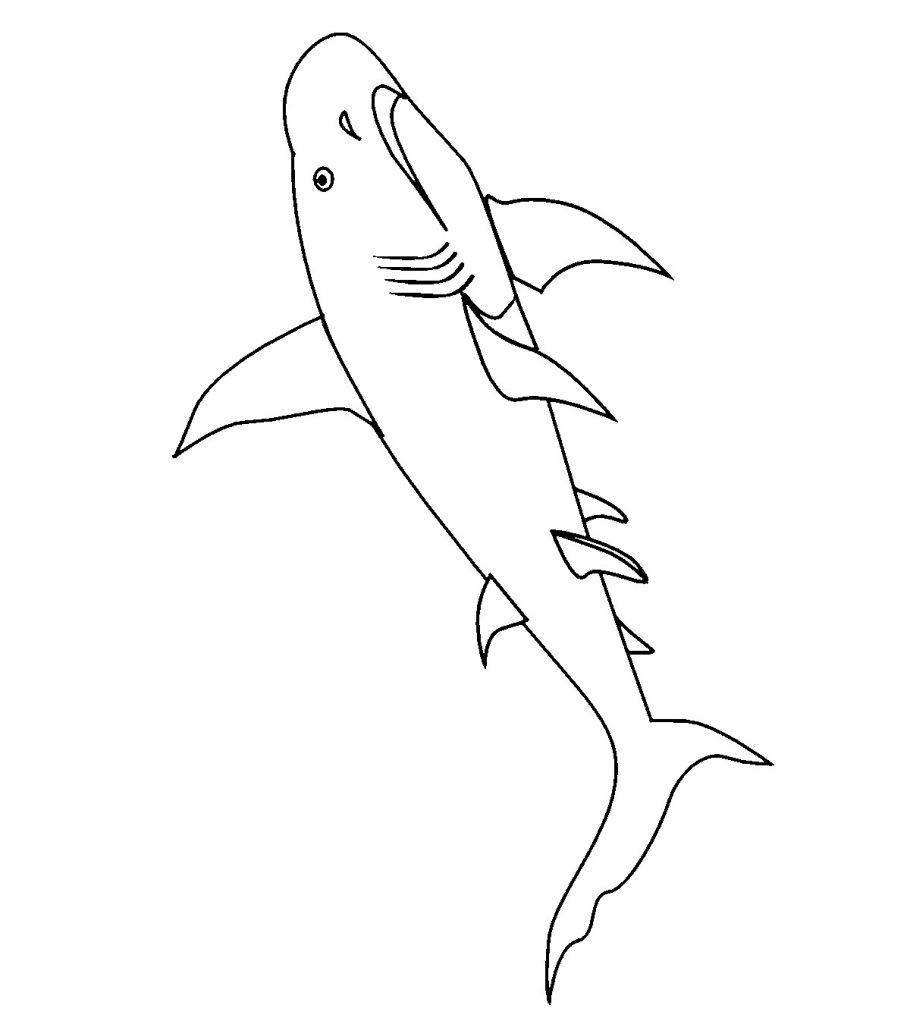 Top 20 Shark Coloring Pages For Your Little Ones