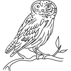 Eurasian eagle-owl, Owl coloring pages