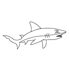 A fierce shark coloring page