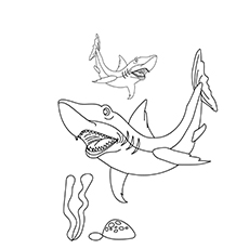 Gray reef sharks coloring page