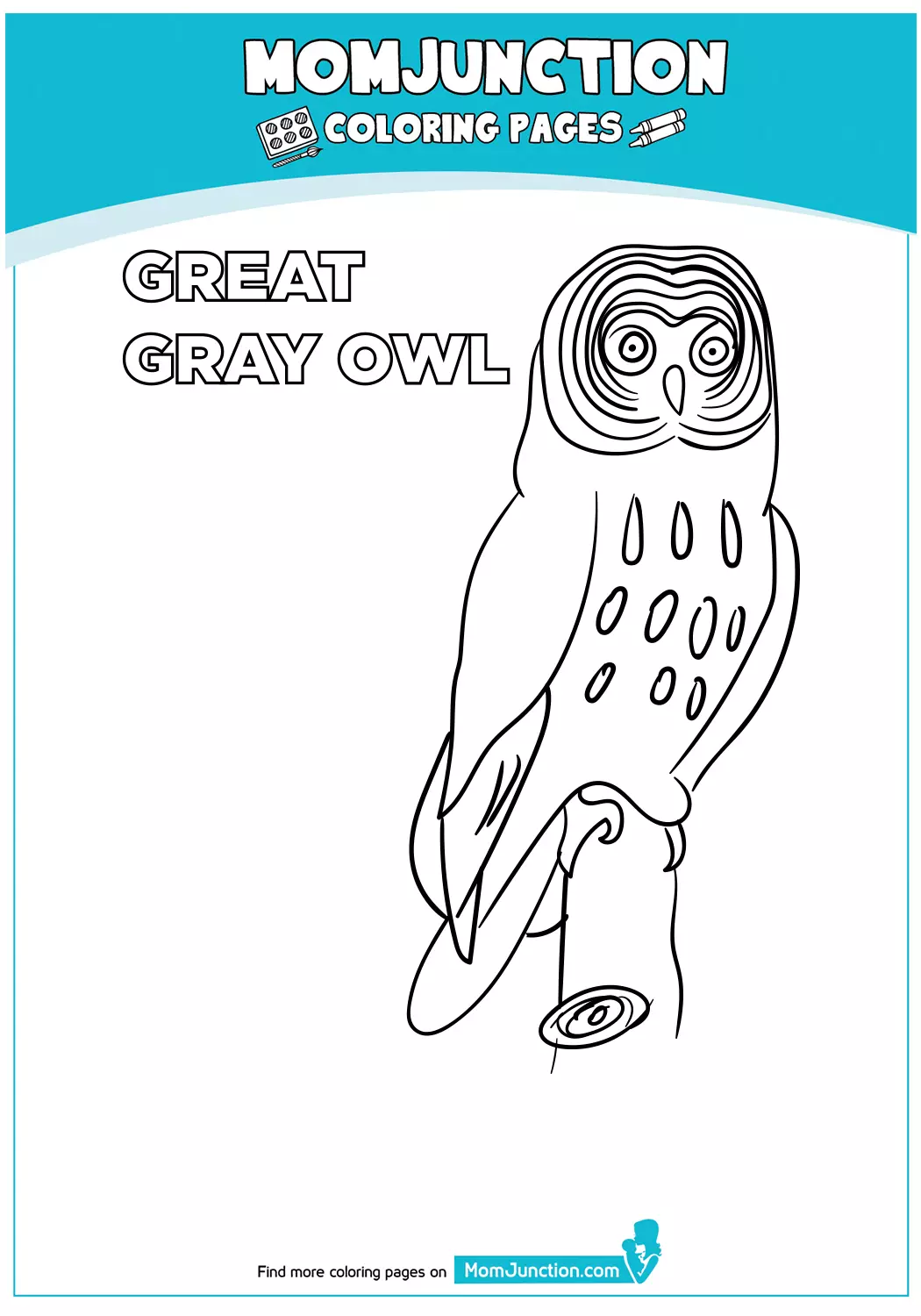 Great-Gray-Owl