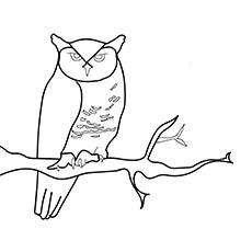 Great horned owl coloring page