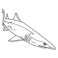 The great white shark coloring page