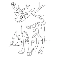 Hangul Deer Coloring Page_image