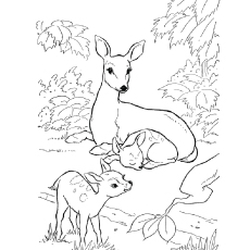 Babies and mama hog deer coloring page