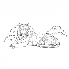 Indo-Chinese tiger coloring page