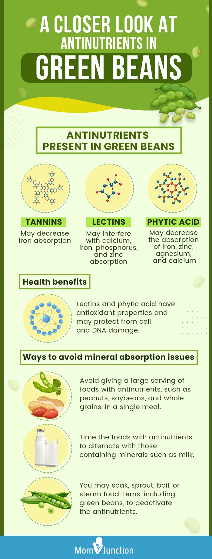 a closer look at antinutrients in green beans (infographic)