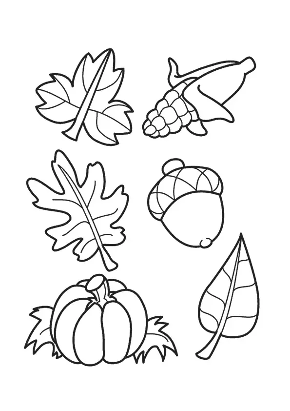 Leaves-And-Acorns