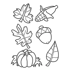 Acorns and leaves coloring pages