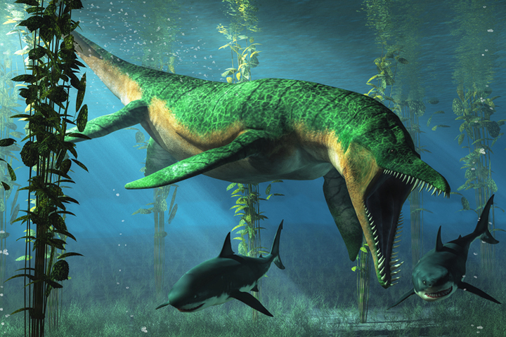 Liopleurodon was a biggest aquatic reptile