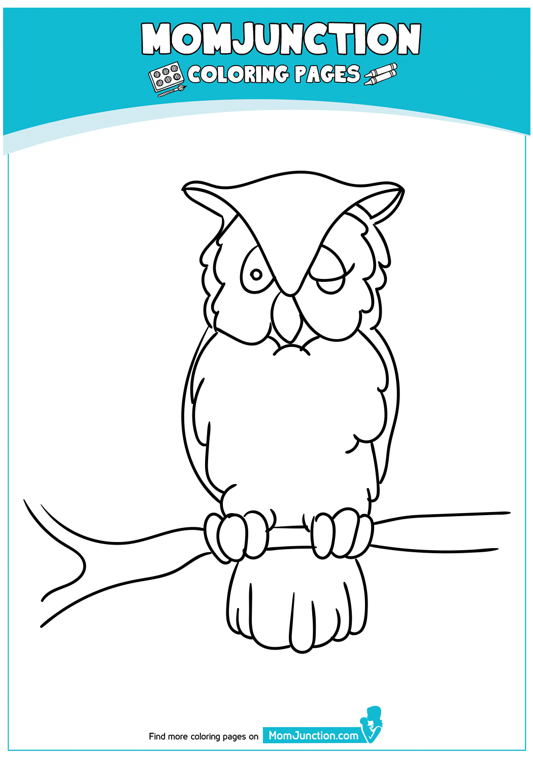 Long-Eared-Owl
